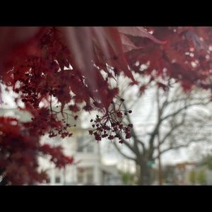 Meet your Posher, Sonia